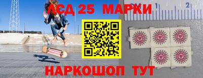 СК Кингисепп
