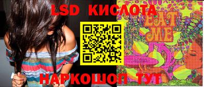 СК Кингисепп