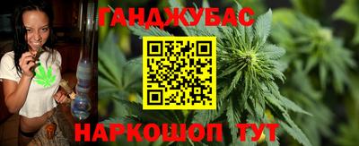 СК Кингисепп