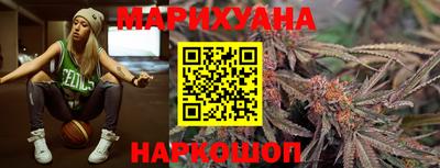 СК Кингисепп