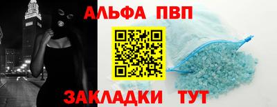 СК Кингисепп