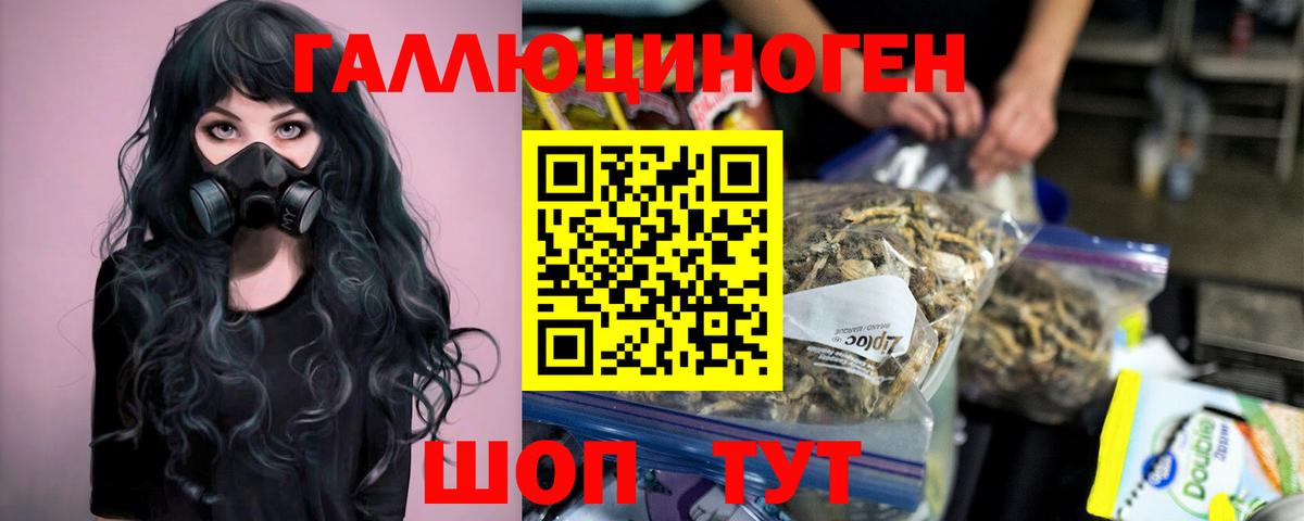 Псилоцибиновые грибы GOLDEN TEACHER Кировск