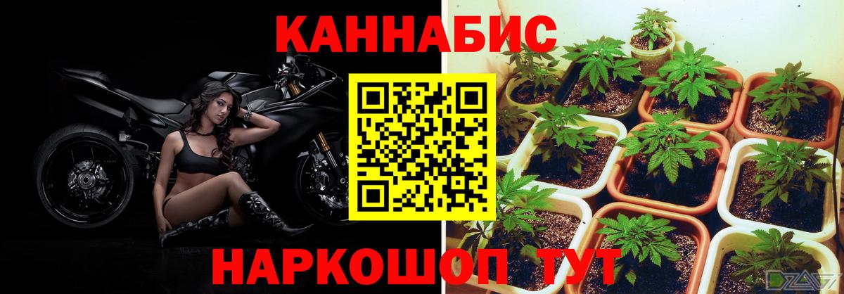 Кировск  Канабис THC 21%  Каннабис MAZAR  Вход с VPN  Бошки Шишки MAZAR  Канабис Amnesia 